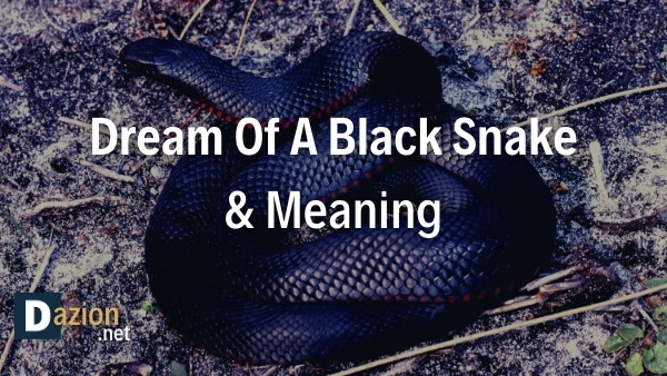 Dream Of A Black Snake & Meaning
